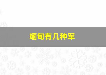 缅甸有几种军