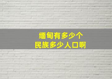 缅甸有多少个民族多少人口啊