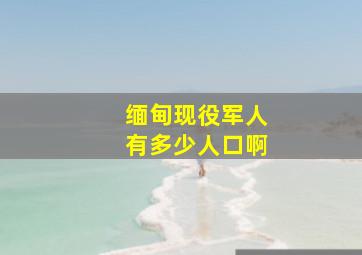 缅甸现役军人有多少人口啊