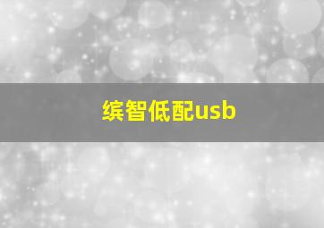 缤智低配usb