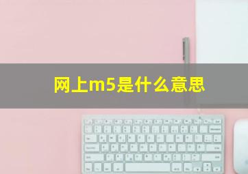 网上m5是什么意思