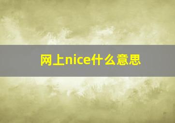 网上nice什么意思