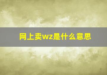 网上卖wz是什么意思