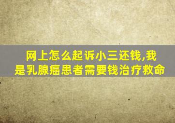 网上怎么起诉小三还钱,我是乳腺癌患者需要钱治疗救命