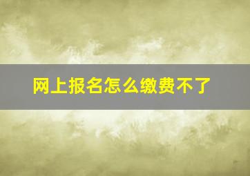 网上报名怎么缴费不了