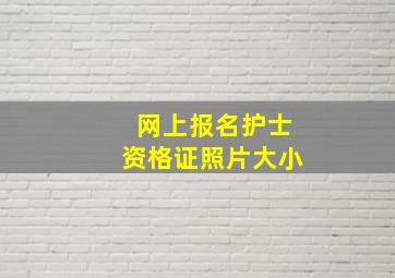 网上报名护士资格证照片大小