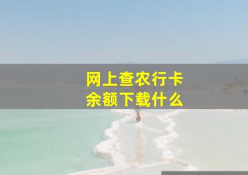 网上查农行卡余额下载什么