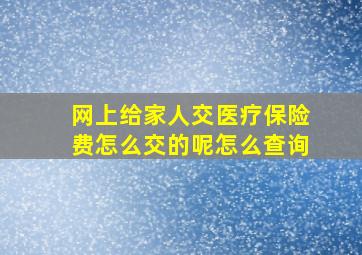 网上给家人交医疗保险费怎么交的呢怎么查询