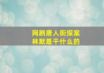 网剧唐人街探案林默是干什么的