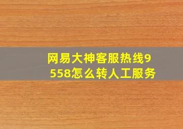 网易大神客服热线9558怎么转人工服务