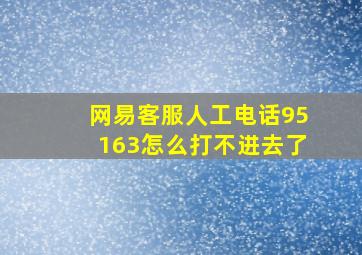 网易客服人工电话95163怎么打不进去了