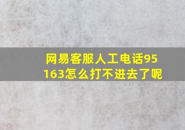 网易客服人工电话95163怎么打不进去了呢