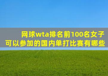 网球wta排名前100名女子可以参加的国内单打比赛有哪些