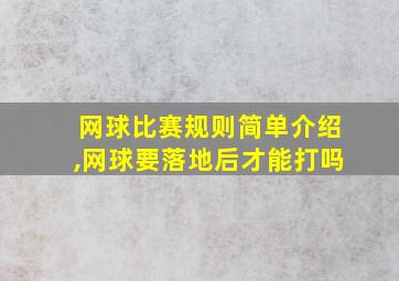 网球比赛规则简单介绍,网球要落地后才能打吗