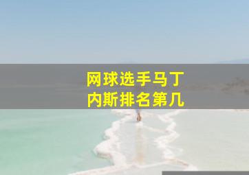 网球选手马丁内斯排名第几