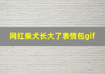 网红柴犬长大了表情包gif