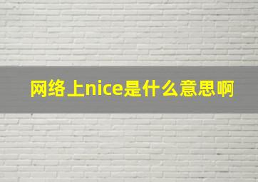 网络上nice是什么意思啊