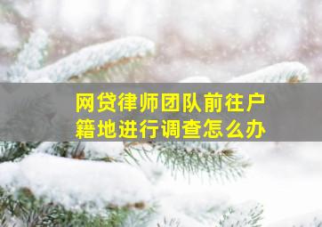 网贷律师团队前往户籍地进行调查怎么办