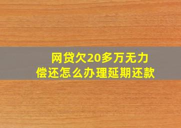 网贷欠20多万无力偿还怎么办理延期还款