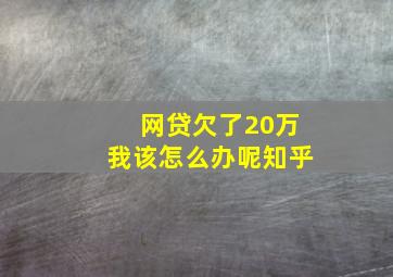 网贷欠了20万我该怎么办呢知乎