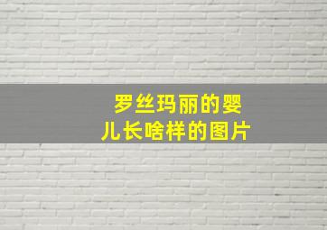 罗丝玛丽的婴儿长啥样的图片