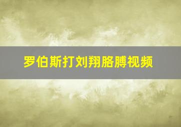 罗伯斯打刘翔胳膊视频