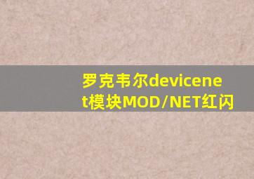 罗克韦尔devicenet模块MOD/NET红闪