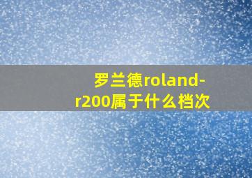 罗兰德roland-r200属于什么档次