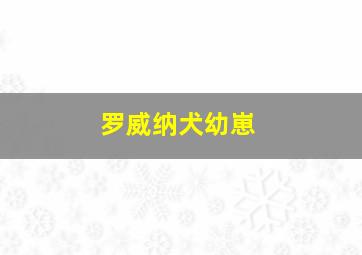 罗威纳犬幼崽