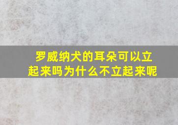 罗威纳犬的耳朵可以立起来吗为什么不立起来呢