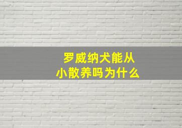 罗威纳犬能从小散养吗为什么