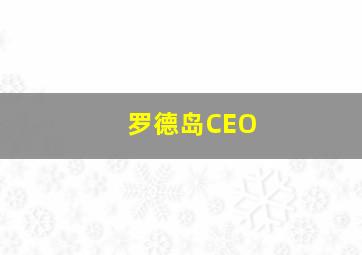 罗德岛CEO