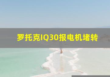 罗托克IQ30报电机堵转