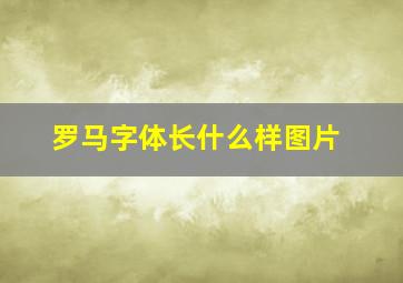 罗马字体长什么样图片