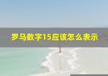 罗马数字15应该怎么表示