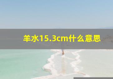 羊水15.3cm什么意思