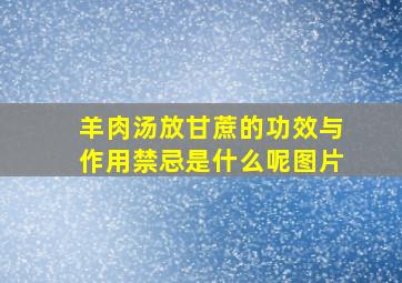 羊肉汤放甘蔗的功效与作用禁忌是什么呢图片