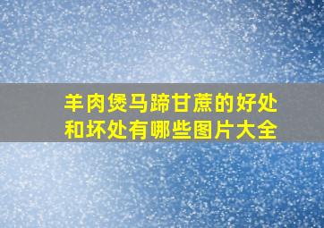 羊肉煲马蹄甘蔗的好处和坏处有哪些图片大全