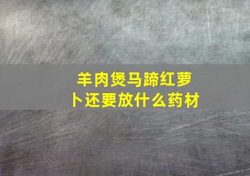 羊肉煲马蹄红萝卜还要放什么药材