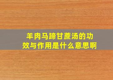 羊肉马蹄甘蔗汤的功效与作用是什么意思啊