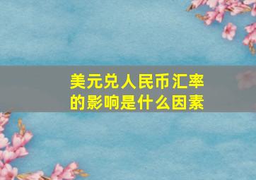 美元兑人民币汇率的影响是什么因素