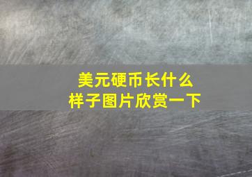 美元硬币长什么样子图片欣赏一下