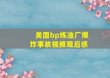 美国bp炼油厂爆炸事故视频观后感