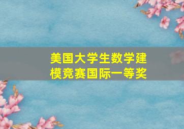 美国大学生数学建模竞赛国际一等奖