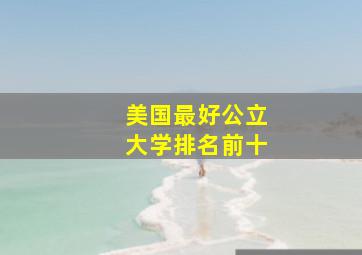 美国最好公立大学排名前十