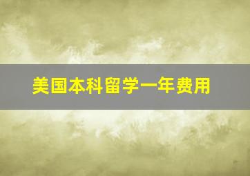 美国本科留学一年费用