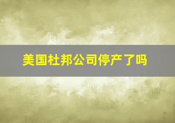 美国杜邦公司停产了吗