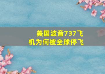 美国波音737飞机为何被全球停飞