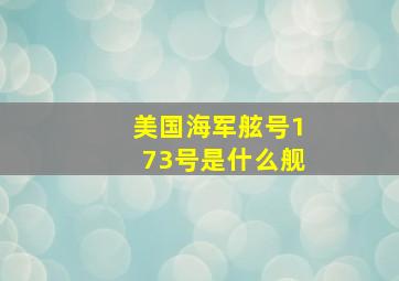 美国海军舷号173号是什么舰