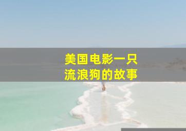 美国电影一只流浪狗的故事